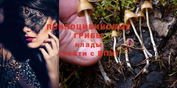 прущие крисы Навашино