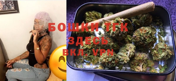 ешки Надым