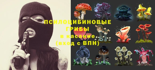 ешки Надым