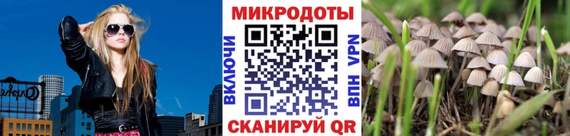 Галлюциногенные грибы MAGIC MUSHROOMS  нарко площадка телеграм  Нюрба 